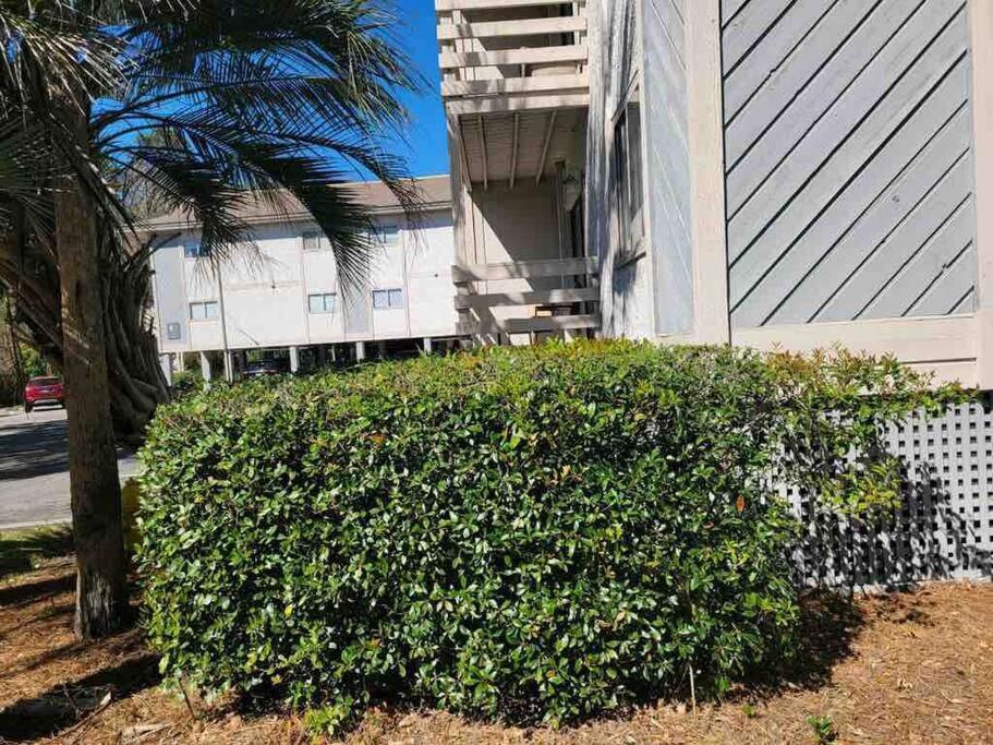2022 Renovated 2-Bdrm Cozy, Lovely Condo W/Parking! Hilton Head Island Eksteriør bilde
